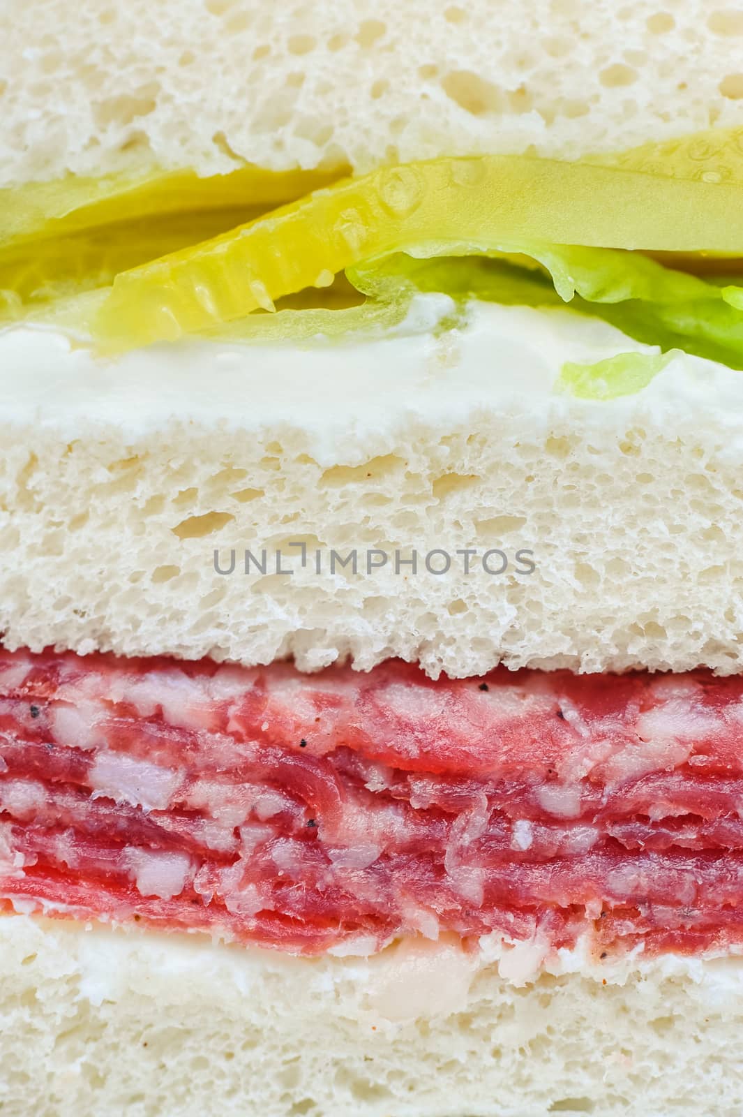 carpaccio raw meat and vegetables sandwich, closeup with layers visible