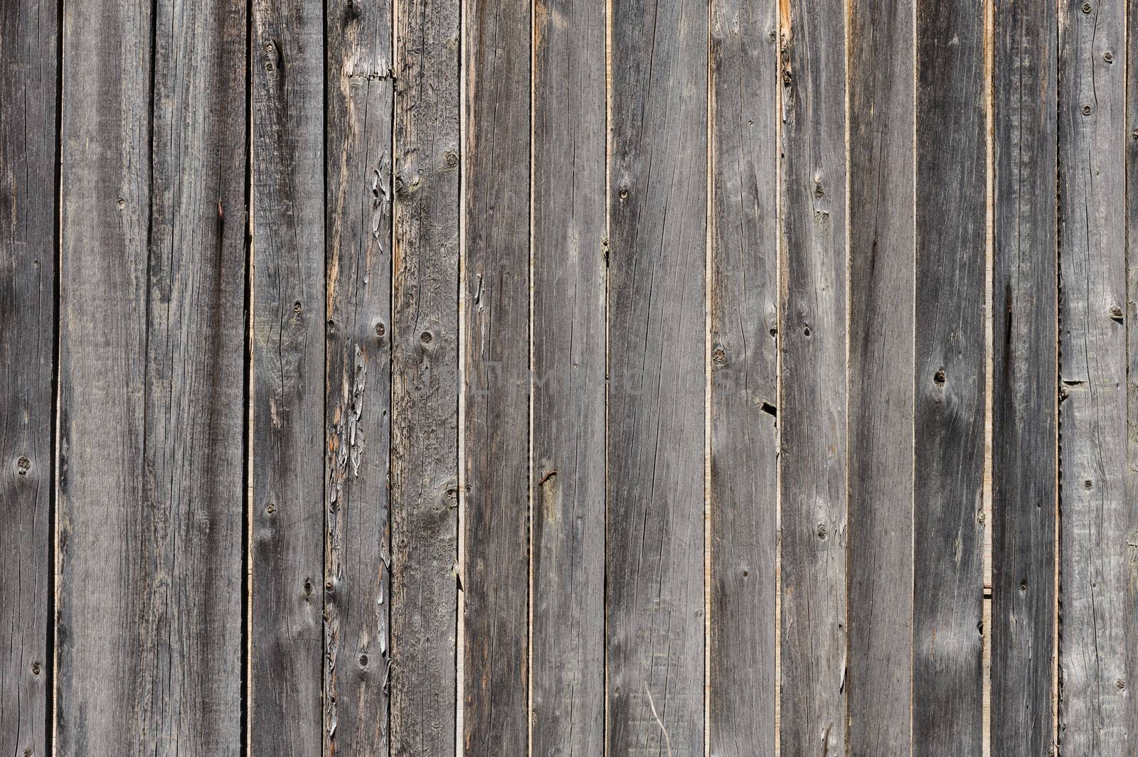 gray aged wooden boards background by starush