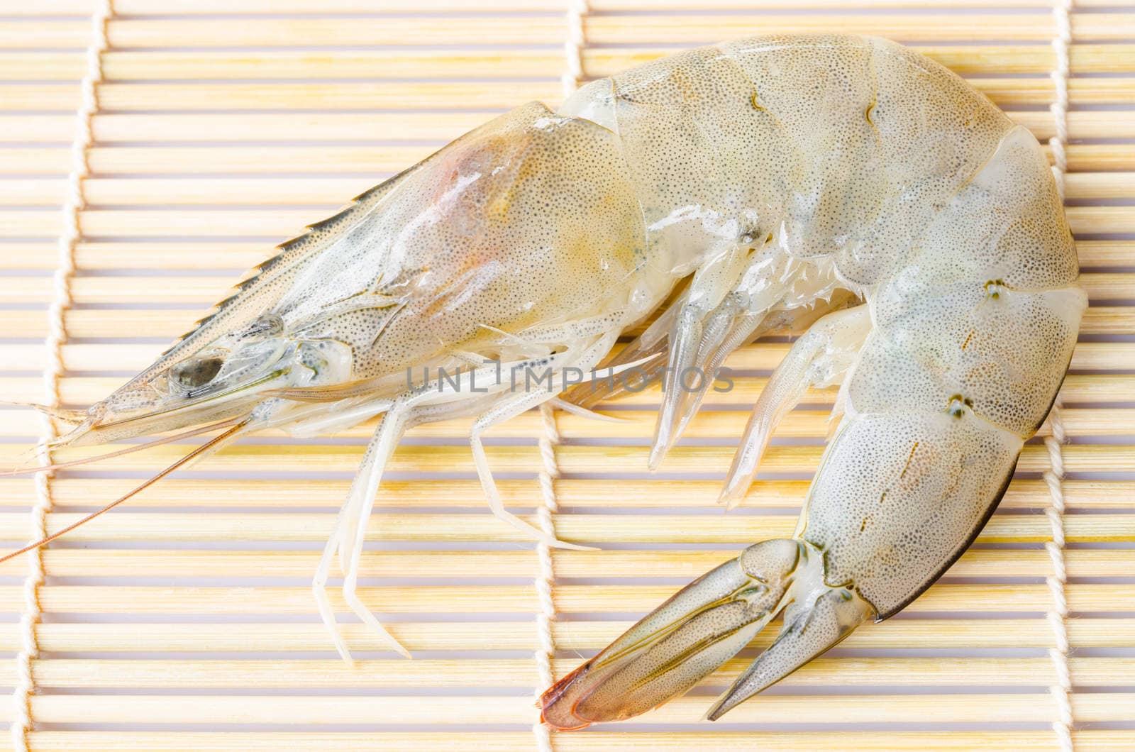 fresh shrimps on wooden background.