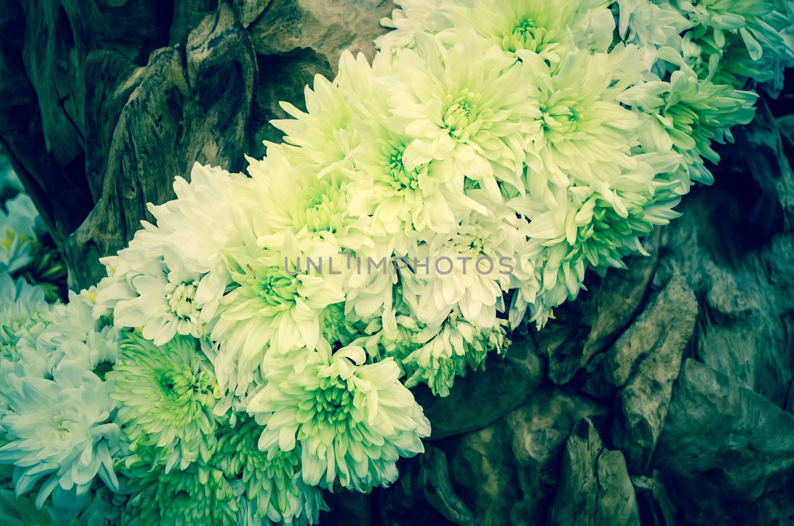 soft focus vintage spring flowers on wooden background.