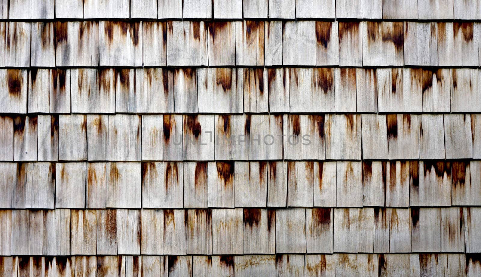 Wooden wall texture horizontal by polarbearstudio