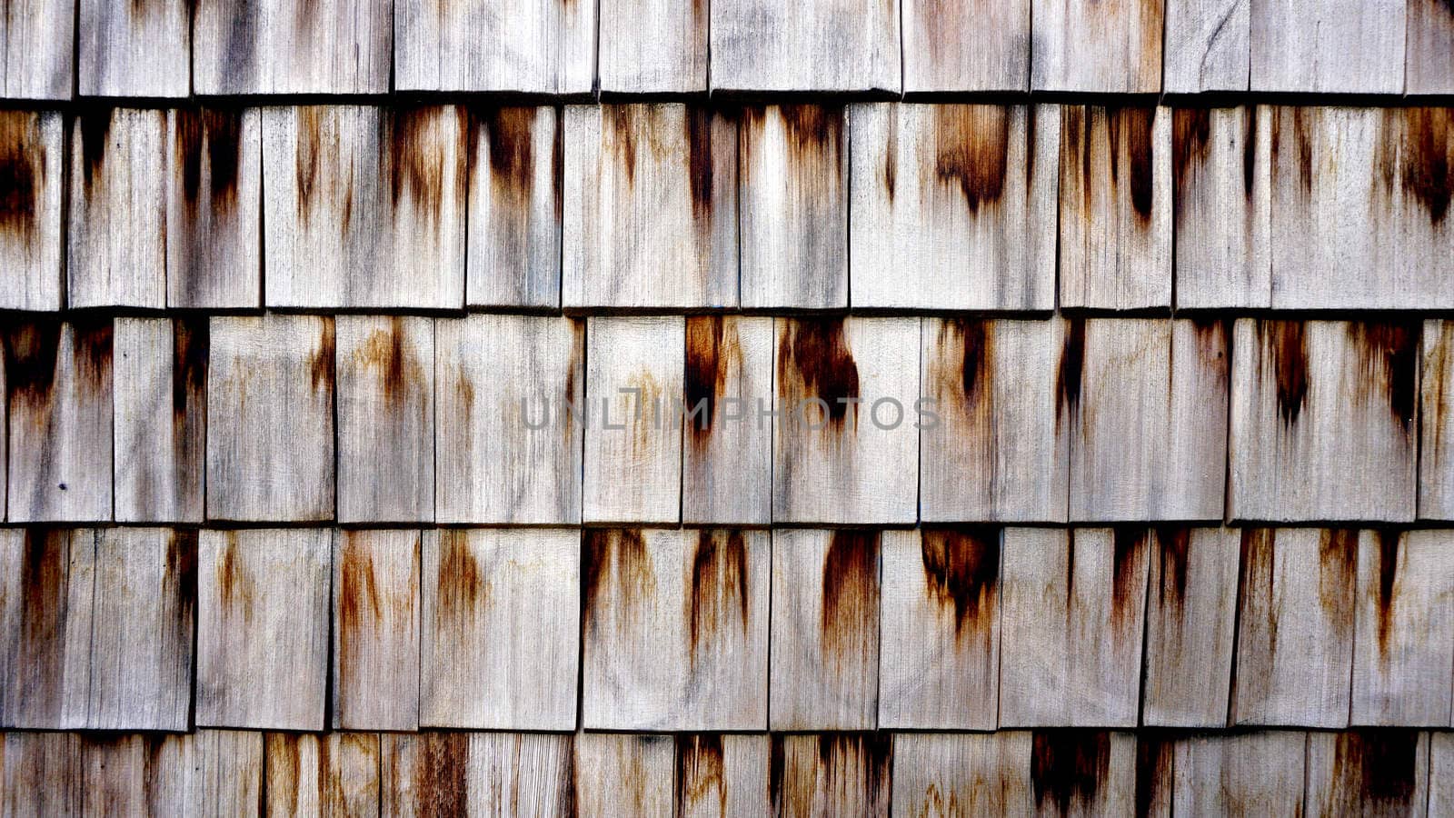 Wooden wall texture close up horizontal by polarbearstudio