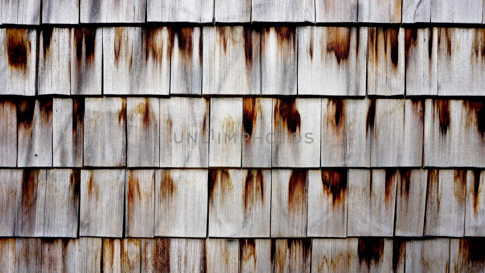 Wooden wall texture close up horizontal by polarbearstudio