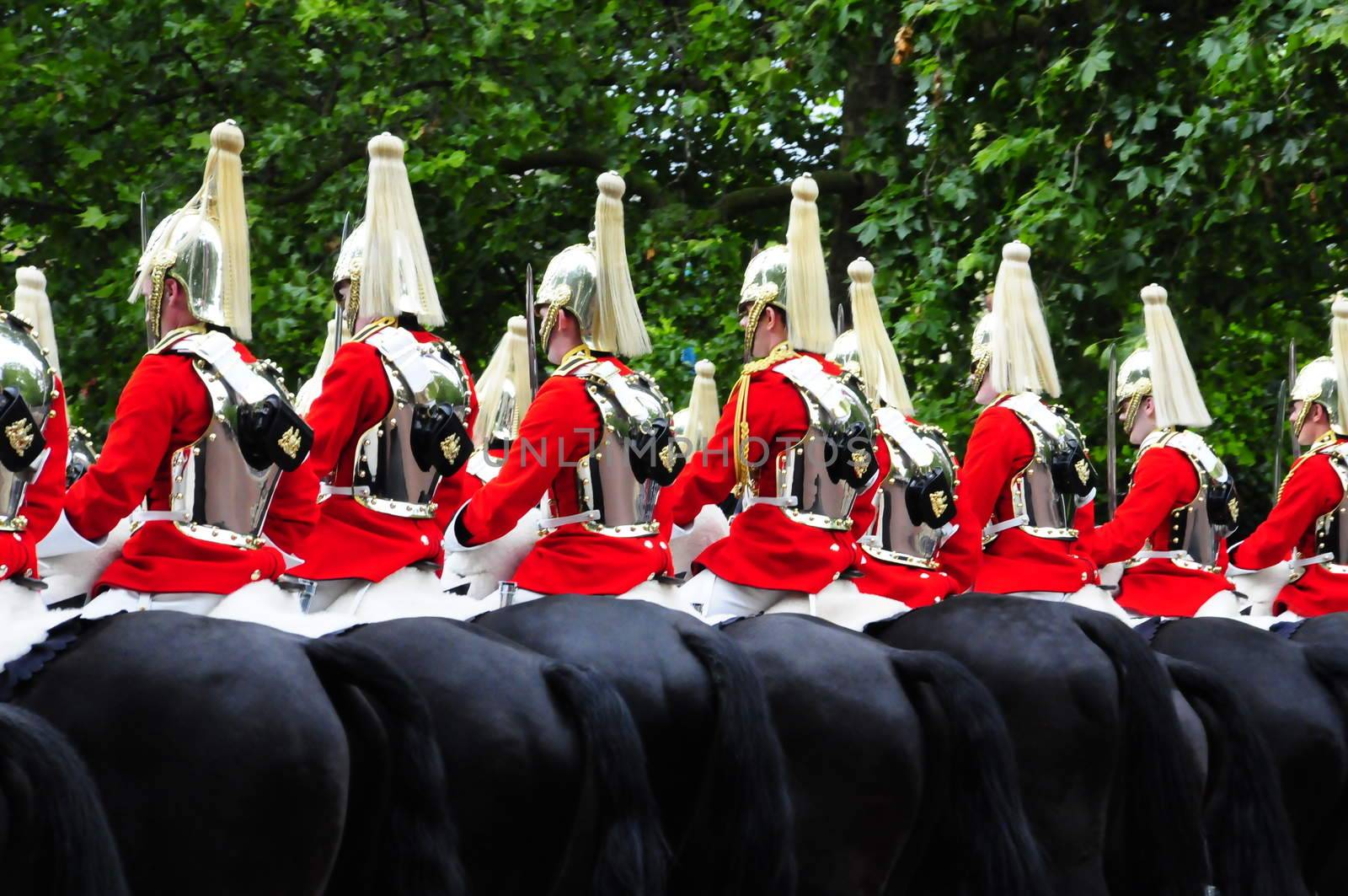 mounted life guards by gorilla