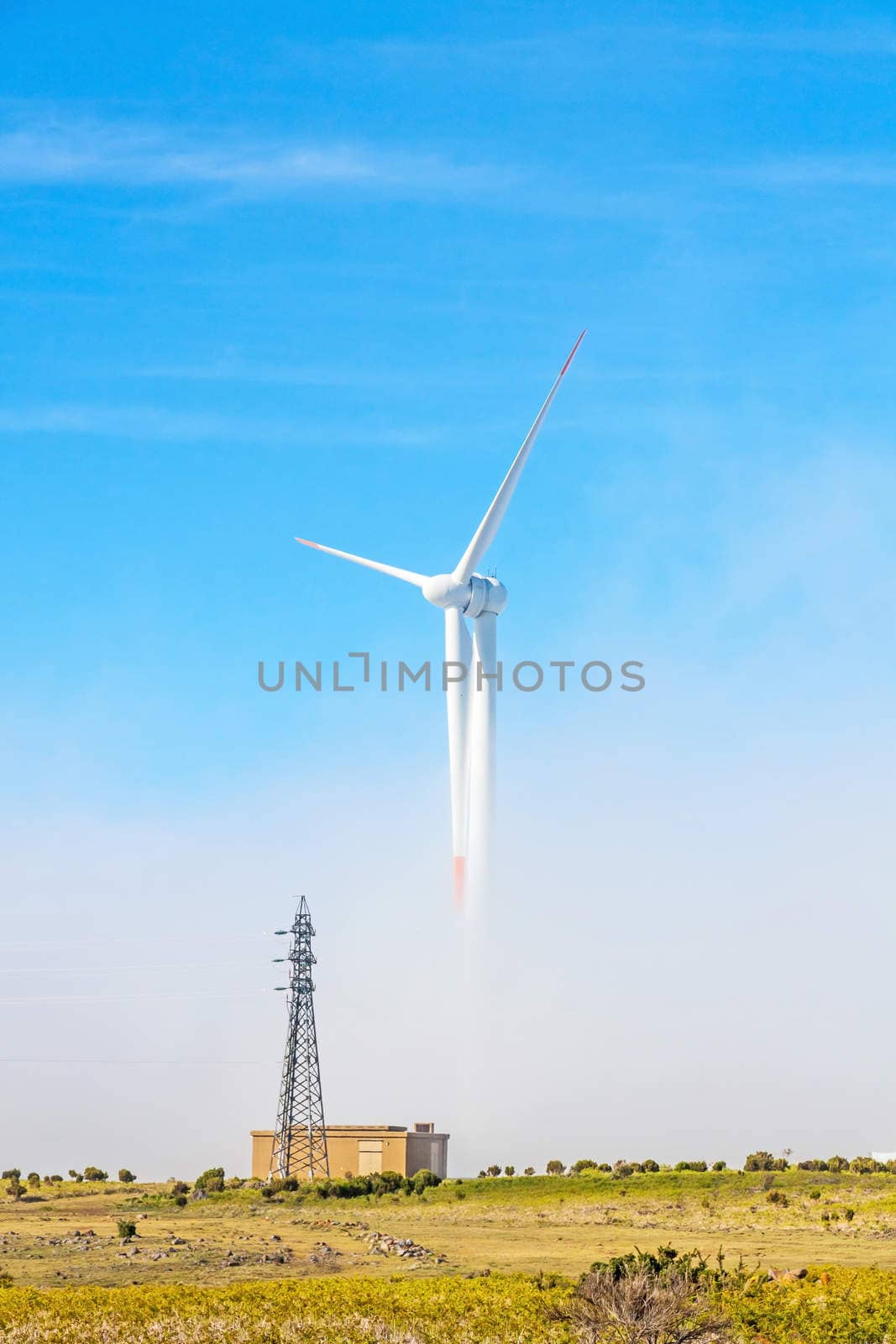 wind turbine in natural landscape - green meadow