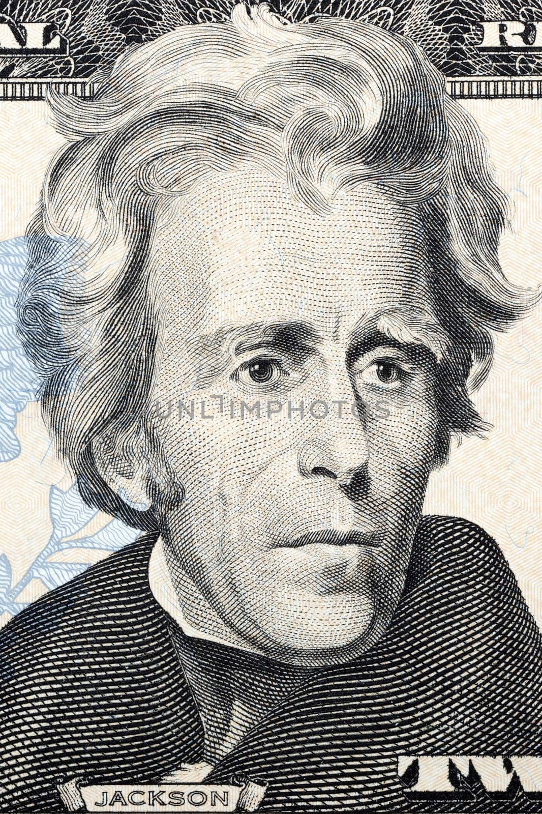 Portrait of Andrew Jackson on twenty American dollars