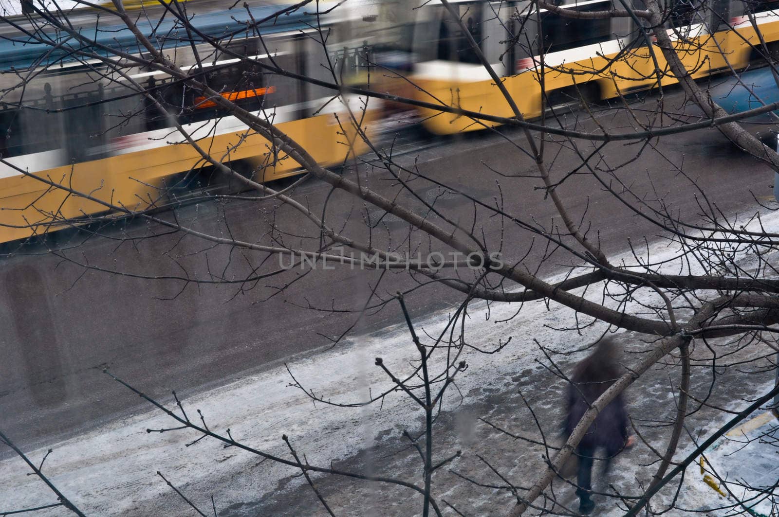 yellow tram in motion through the branches