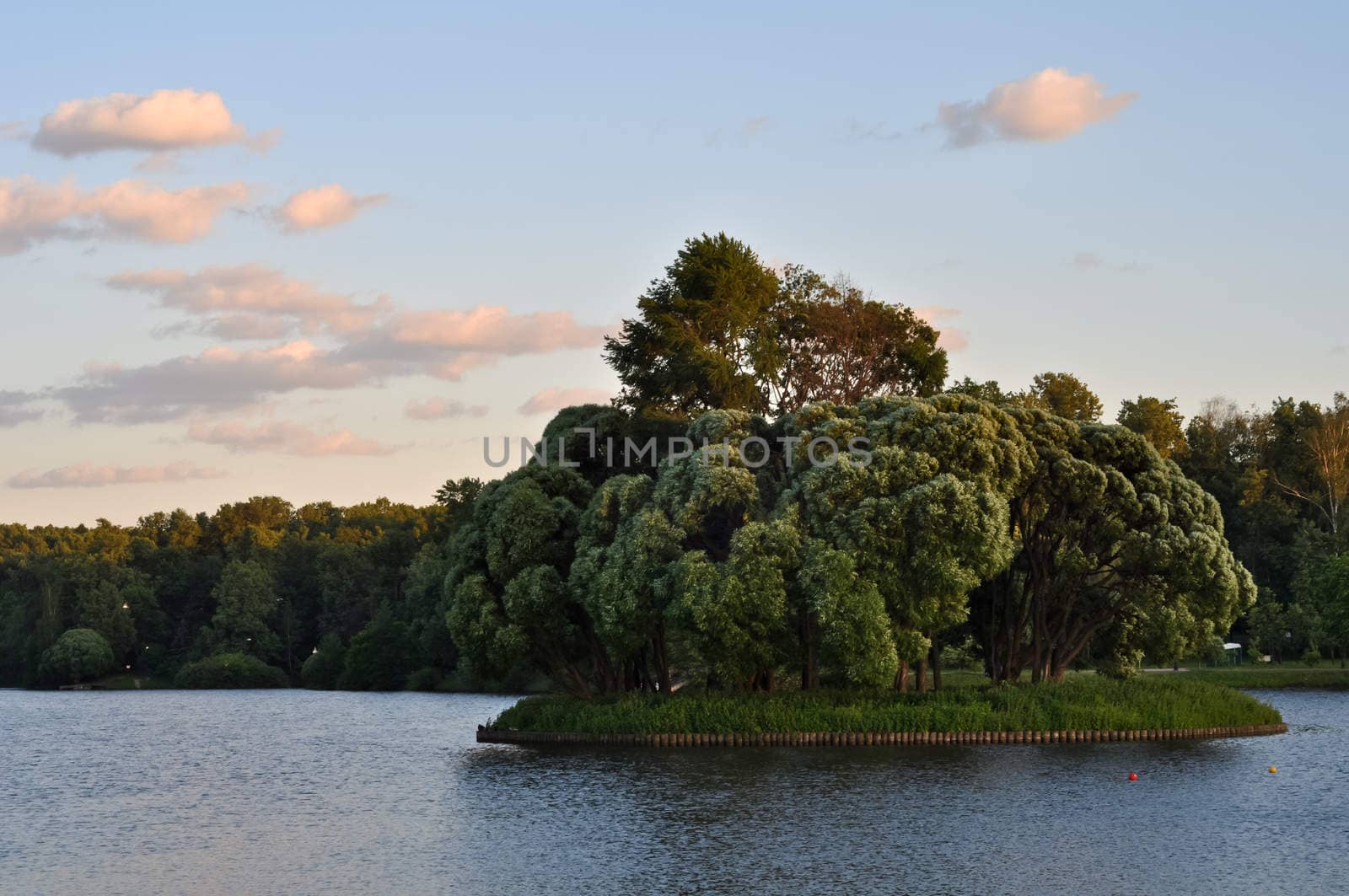 landscape with a lake and forest at sunset by vlaru