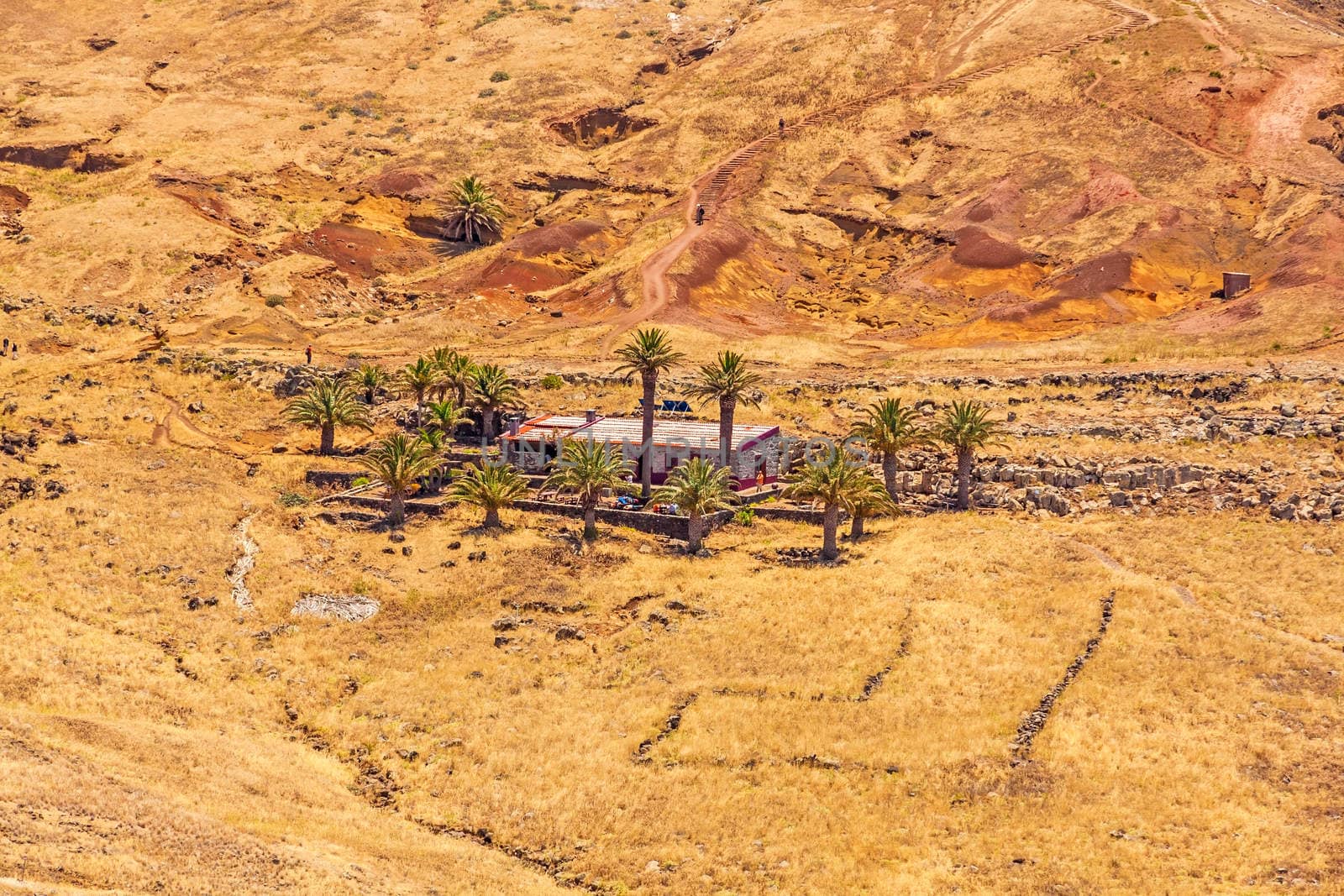 Ranch-like house / building in dry desert landscape with palms