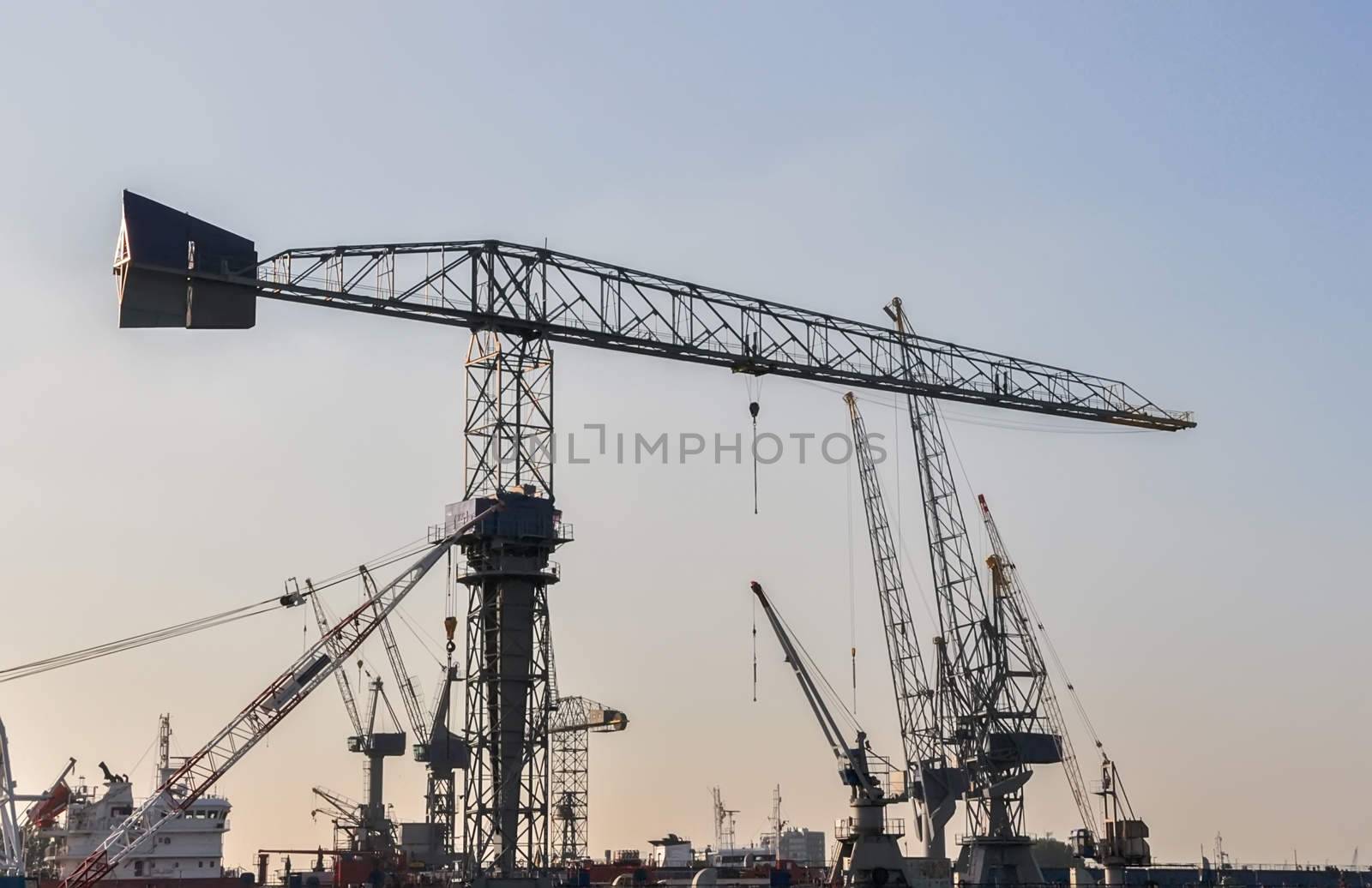 sea cargo port large cranes by vlaru