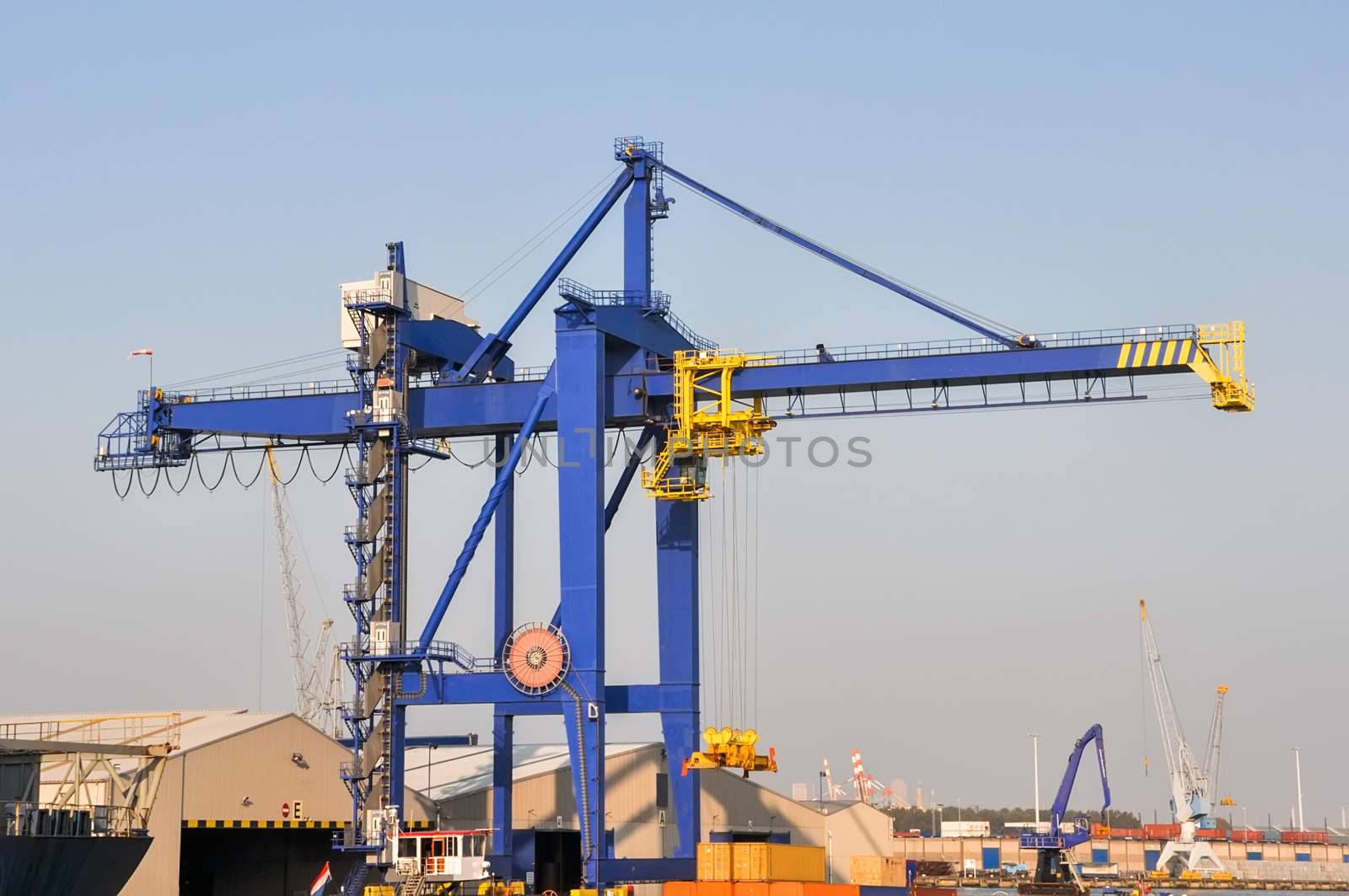 large cranes in sea cargo port of Rotterdam