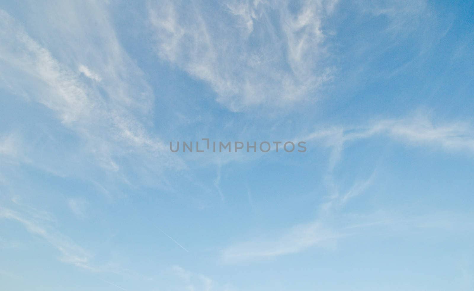 The blue sky with white plumose clouds
