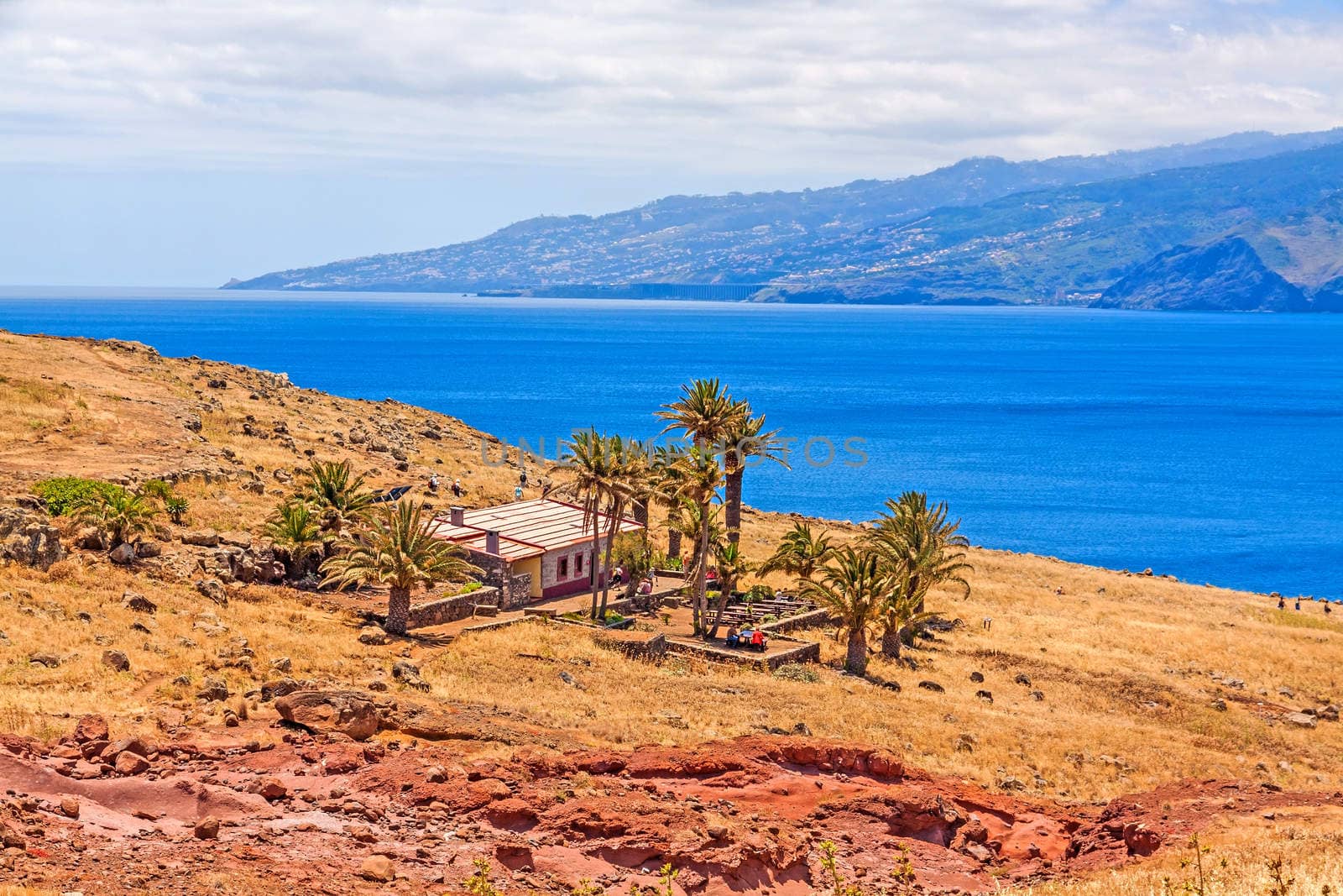 Ranch-like house / building in dry desert landscape with palms