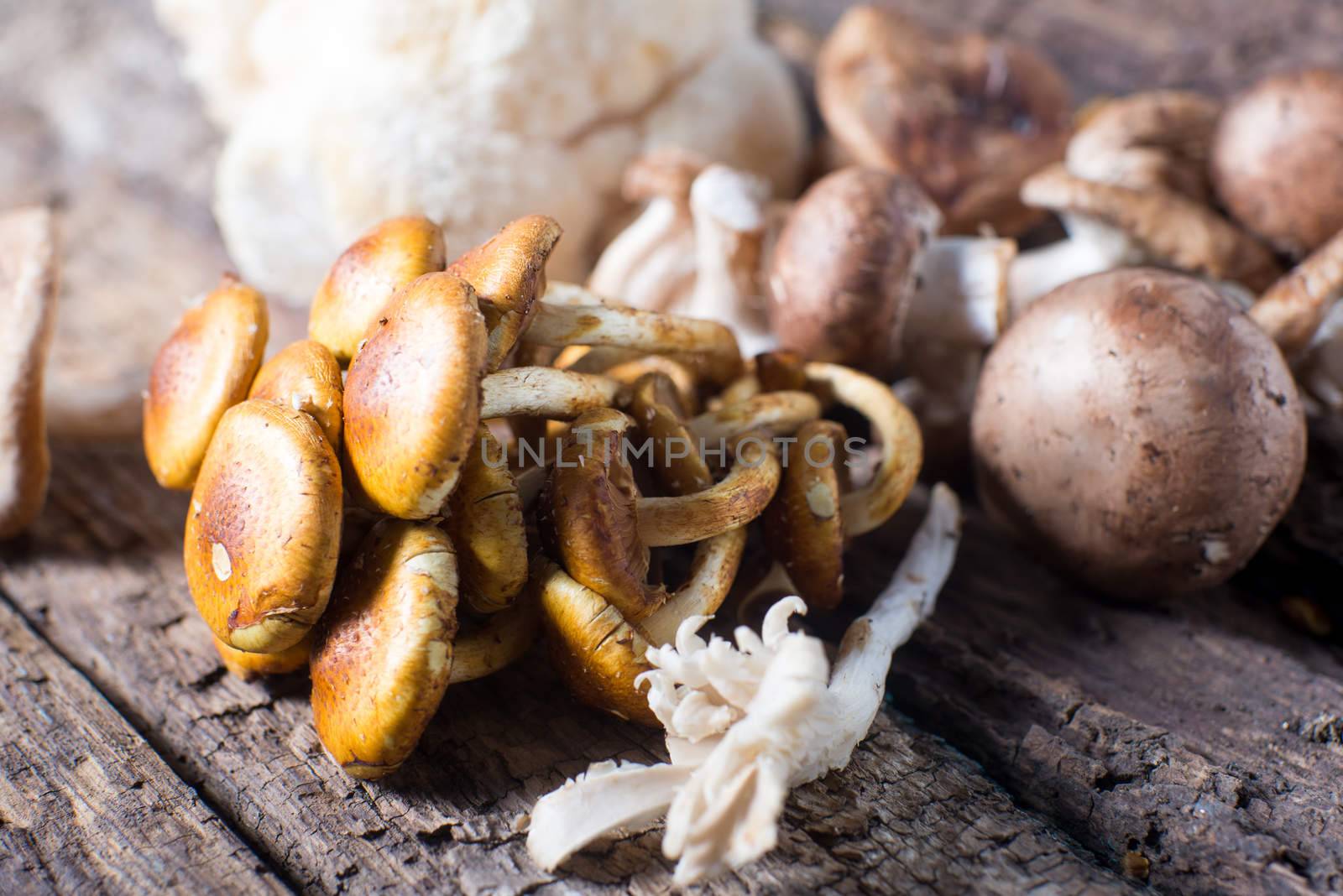 Wild mushrooms and fungus vegetable healthy eating