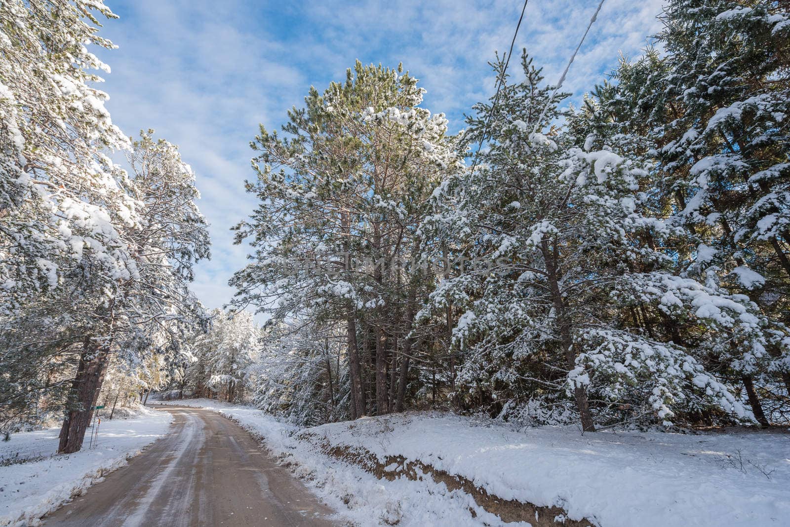 Bright sunny and frosty winter morning finds the forests draped frozen in fresh fallen snow.