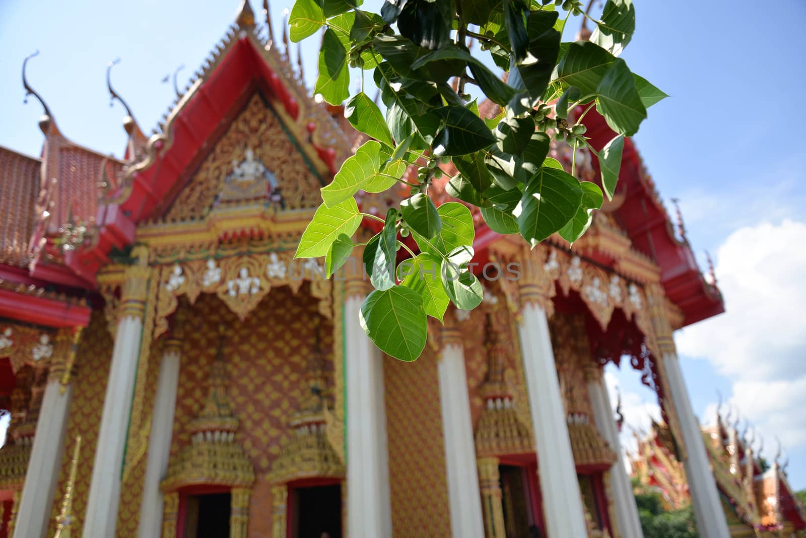 Bodhi Tree and Thai temple by Magneticmcc