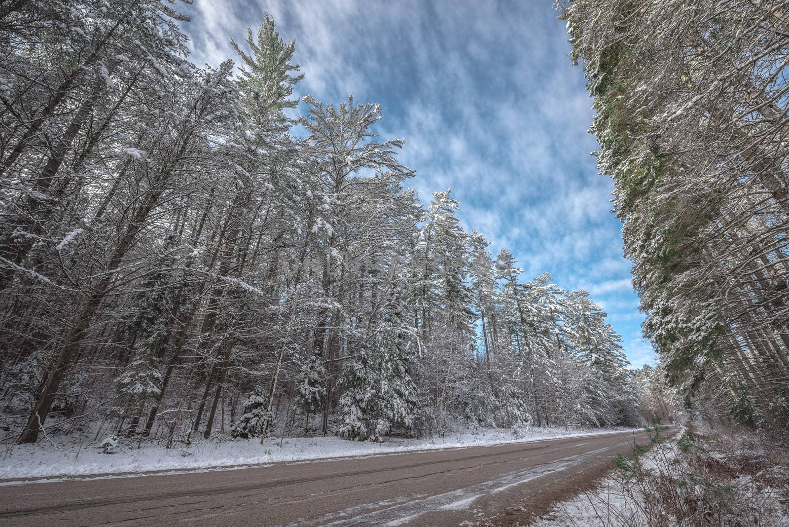 Bright sunny and frosty winter morning finds the forests draped frozen in fresh fallen snow.