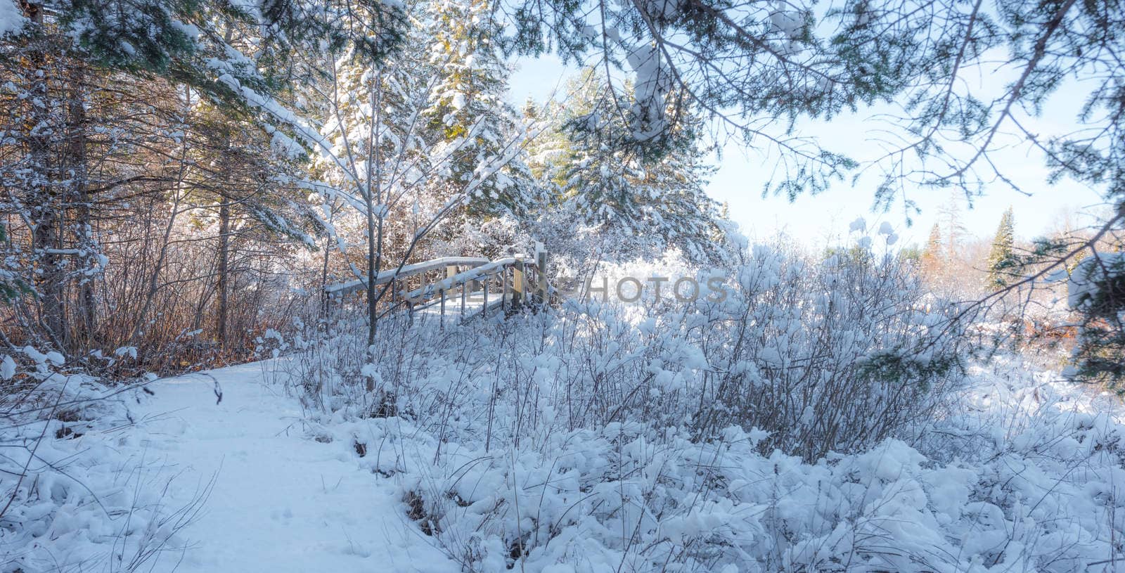 A foot bridge amidst the forest on a bright sky morning and fresh fallen snow. by valleyboi63