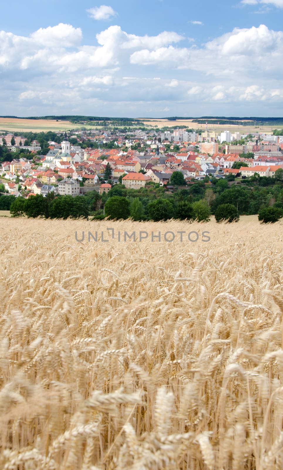 Vertical landscape shot consisting of wheat field, town and forest.
