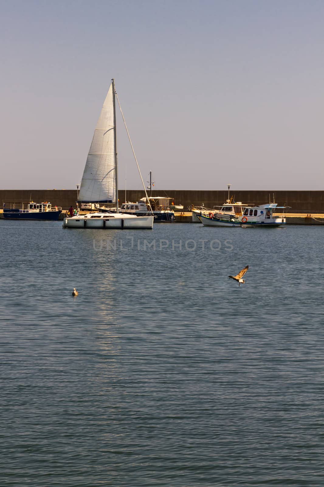 Sail boat in the Tomis harbor in Constanta Romania at the Black Sea