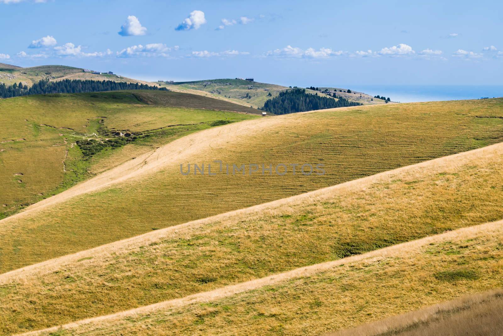 Meadows in the mountains create sinuous lines. by Isaac74