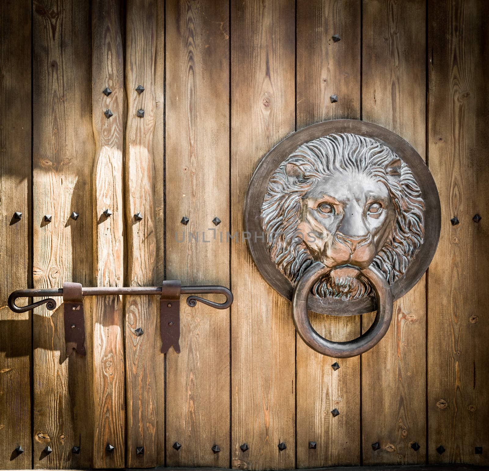 Antique door knocker shaped lion's head. by Isaac74