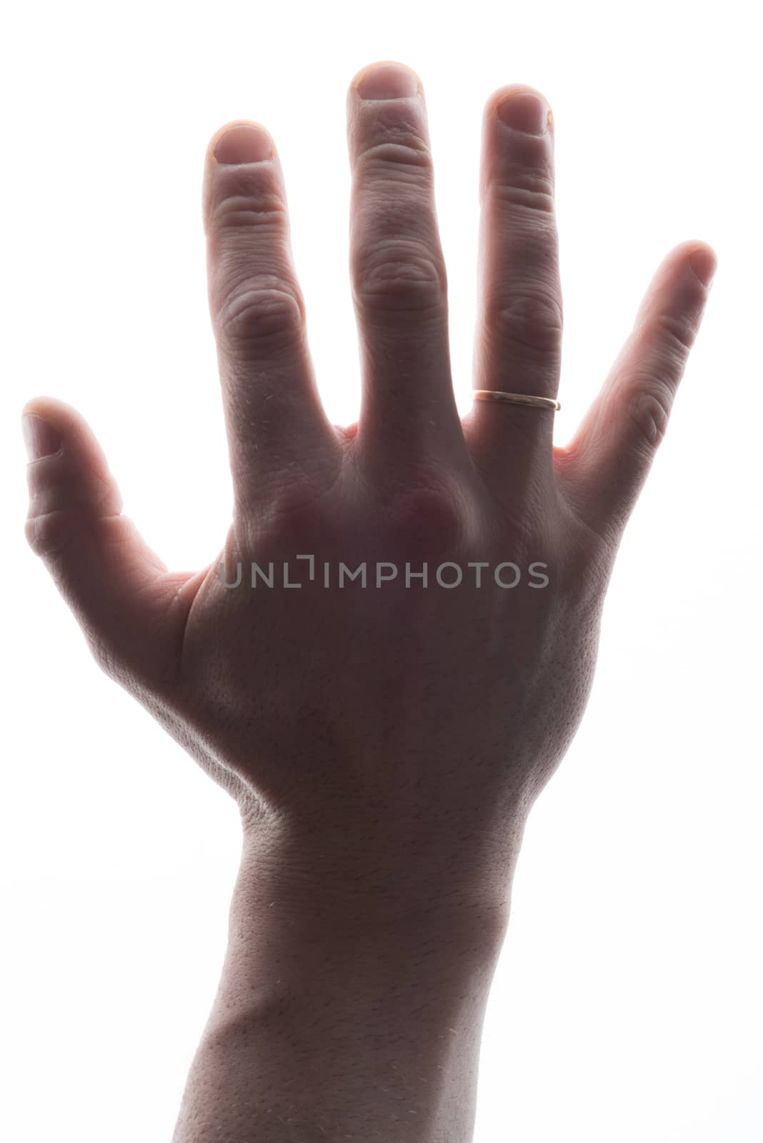 Mans hand showing five count on white by cherezoff