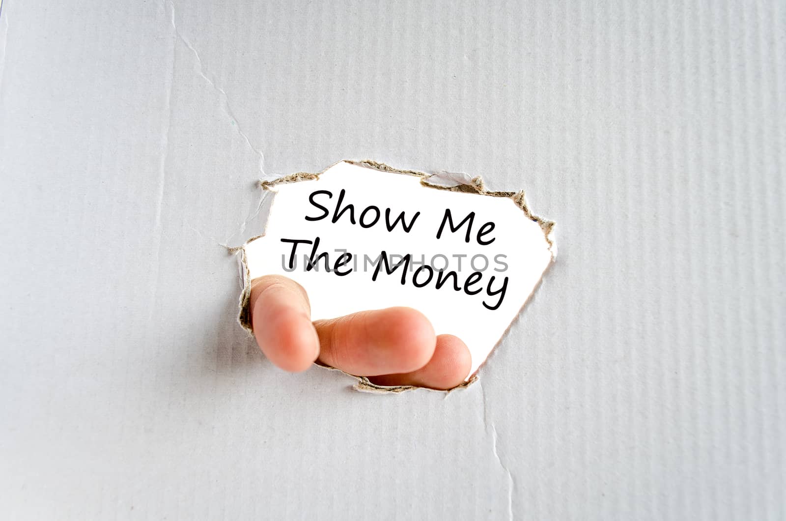 Show me the money text concept isolated over white background