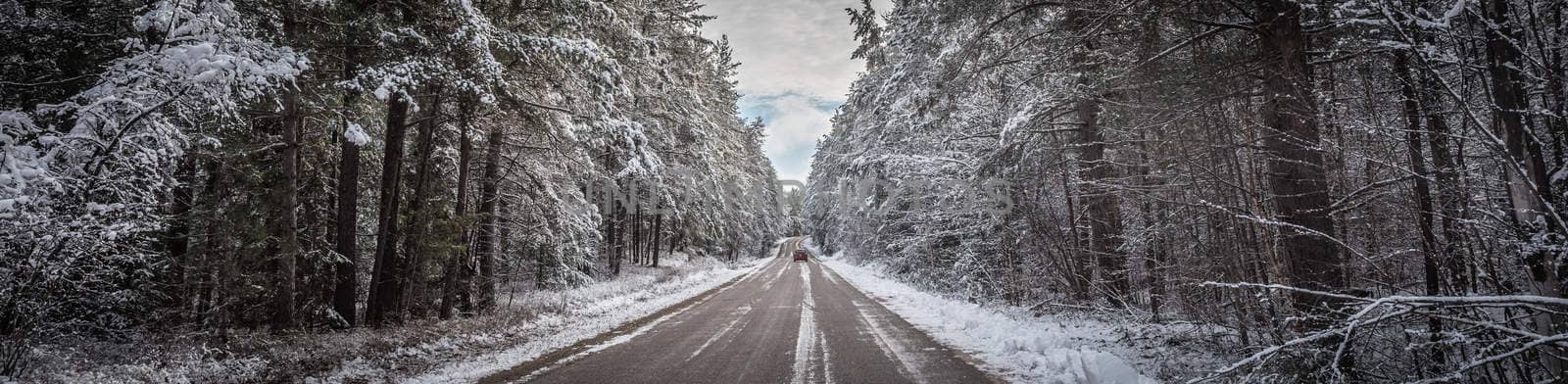 Little red car goes down the road through a wintry pine forest, Snow covered pines along rural roads.