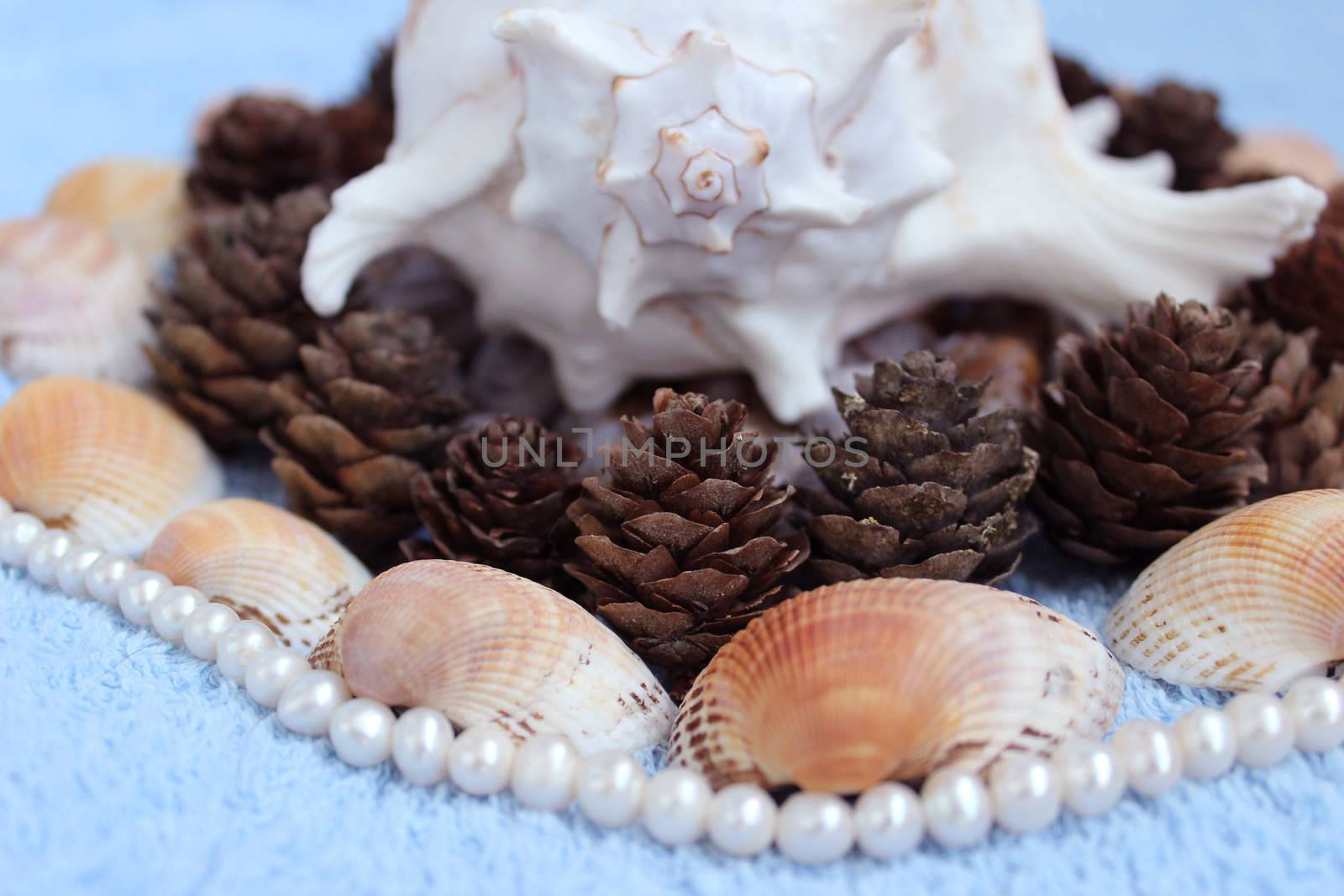 Decoration of Shell (Murex ramosus), shells of snails found in the Gatchina park, pearl beads, pine cones from Karelia and seashells from Arabian Sea.