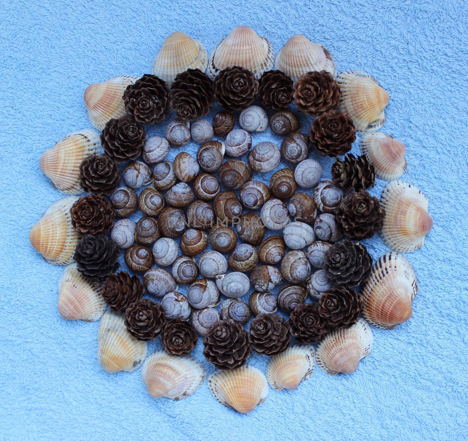 Decoration of shells of snails found in the Gatchina park, pine cones from Karelia and seashells from Arabian Sea.