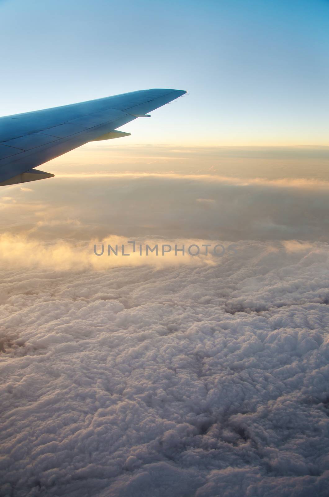 Wing aircraft at sunrise over the cloud