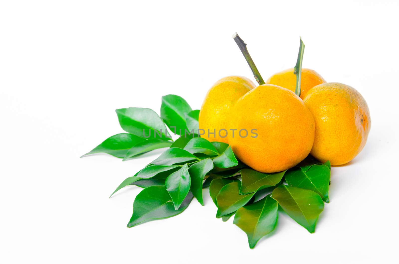 ripe orange fruit and leaves