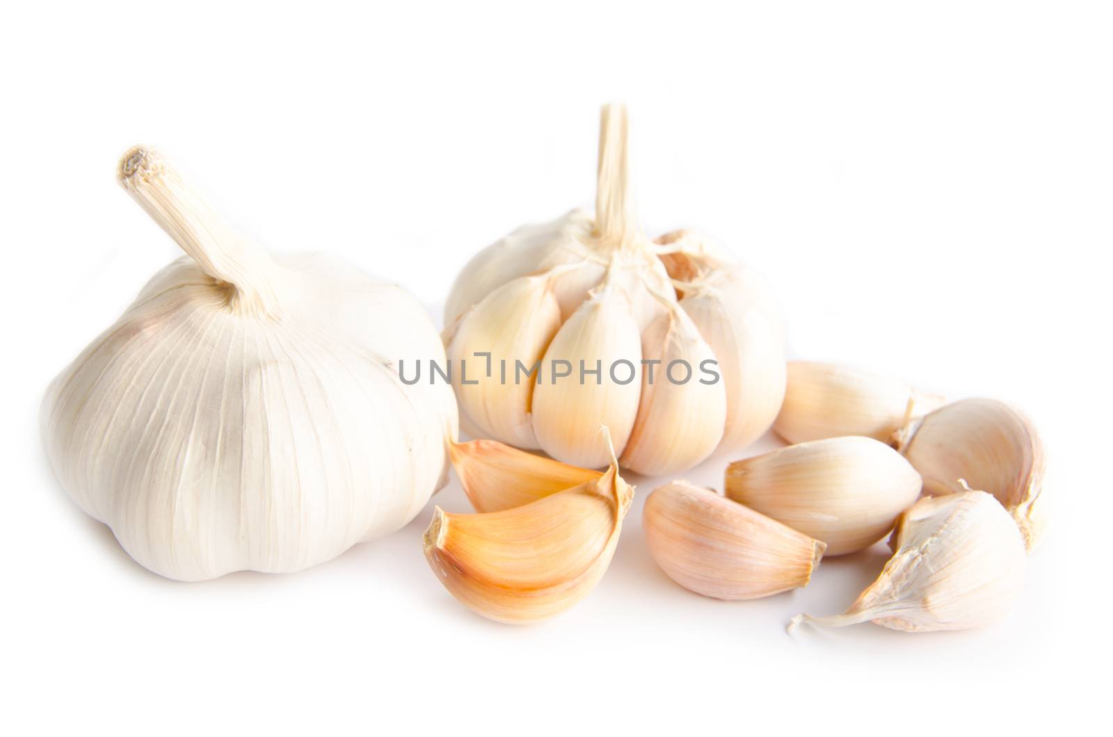 Garlic isolated on white background