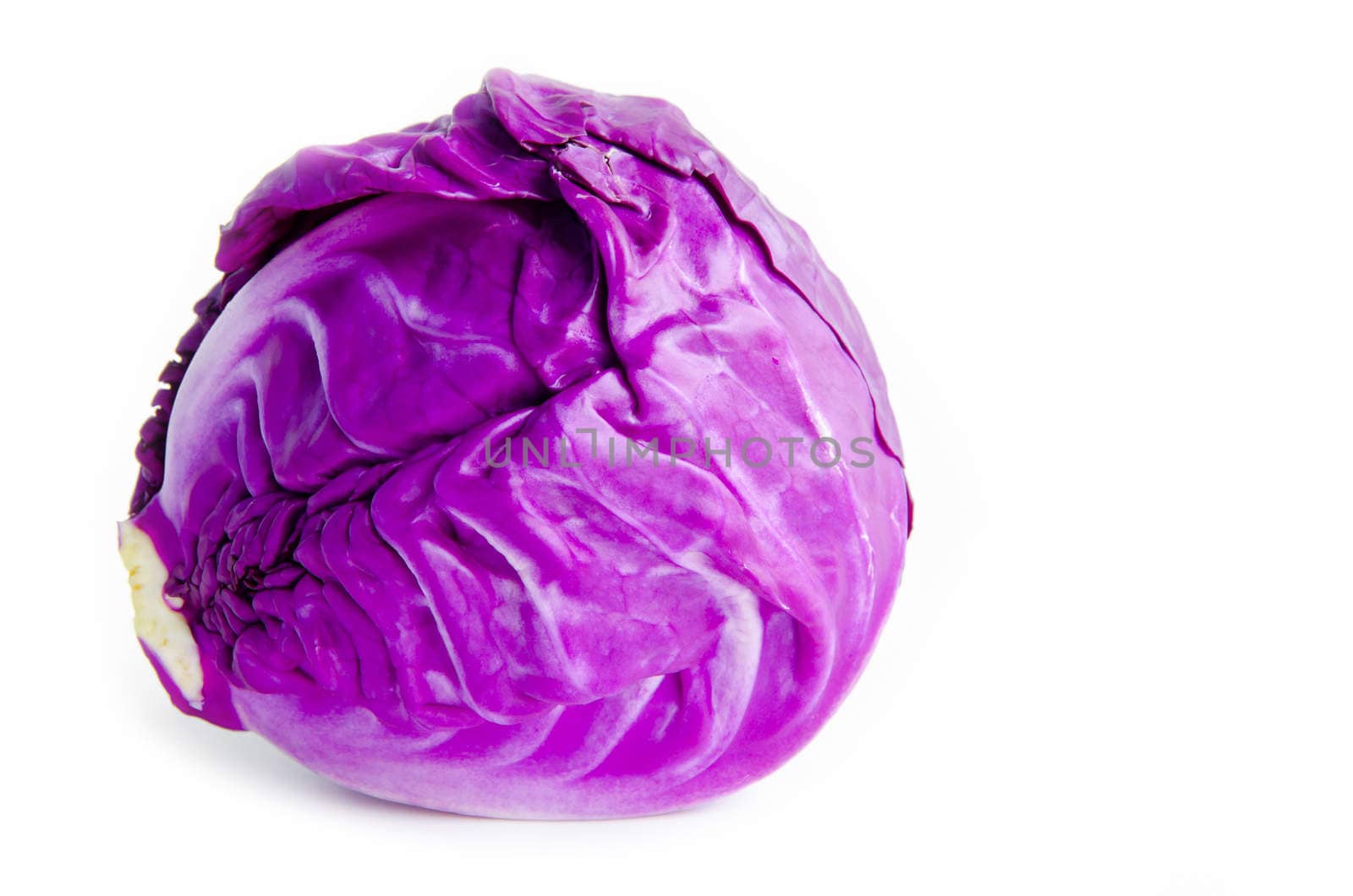 Purple cabbage