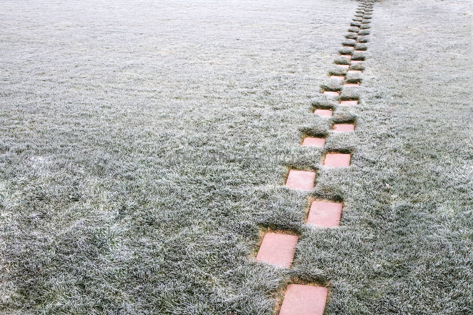 Frost trail of bricks 