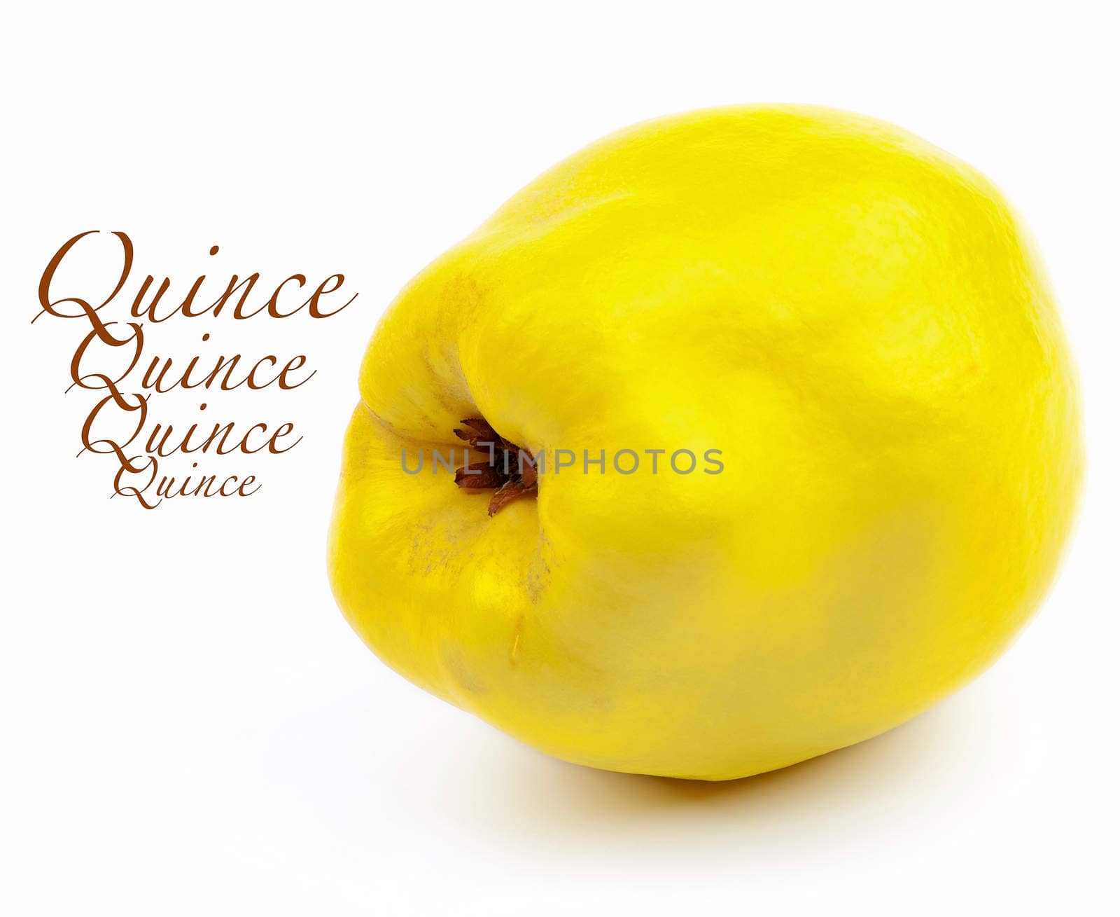 Perfect Ripe Quince by zhekos