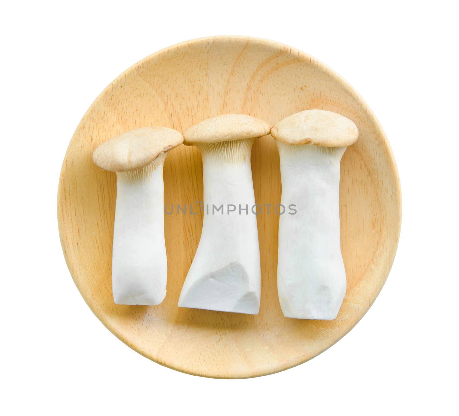 king oyster mushrooms (pleurotus eryngi) in wooden dish on White Background