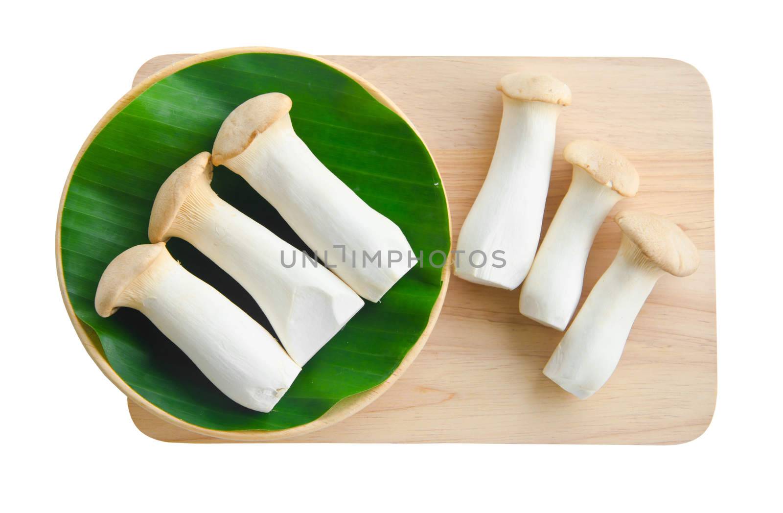 King Oyster mushroom and leaf on wood background. Eringi