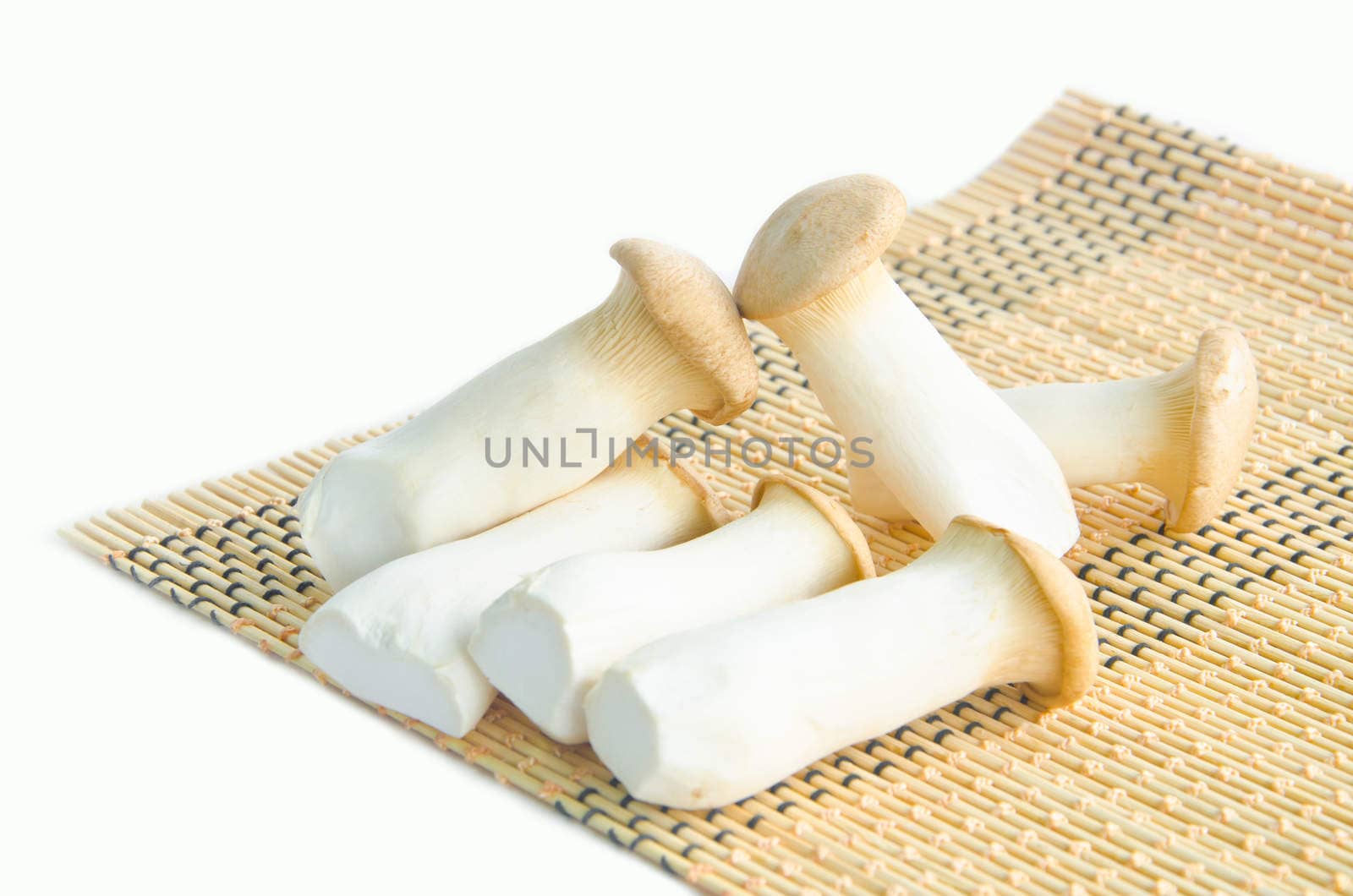 king oyster mushrooms (pleurotus eryngi)