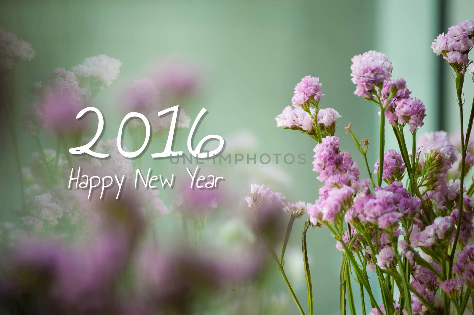 "2016 Happy new year" message on Limonium background