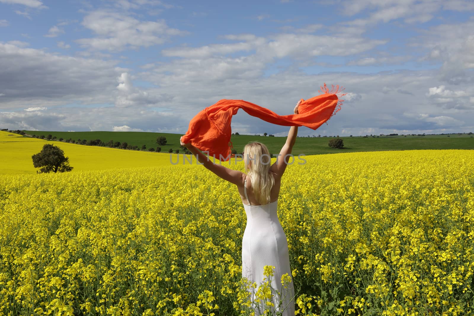 Happy woman flailing scarf in a field of flowering canola in spr by lovleah