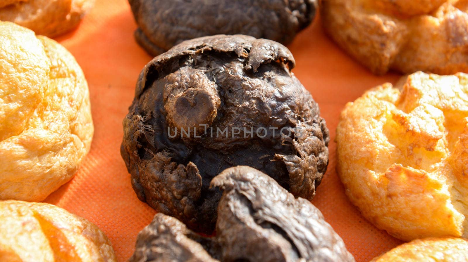 the various sweet cream puffs aka profiterole 