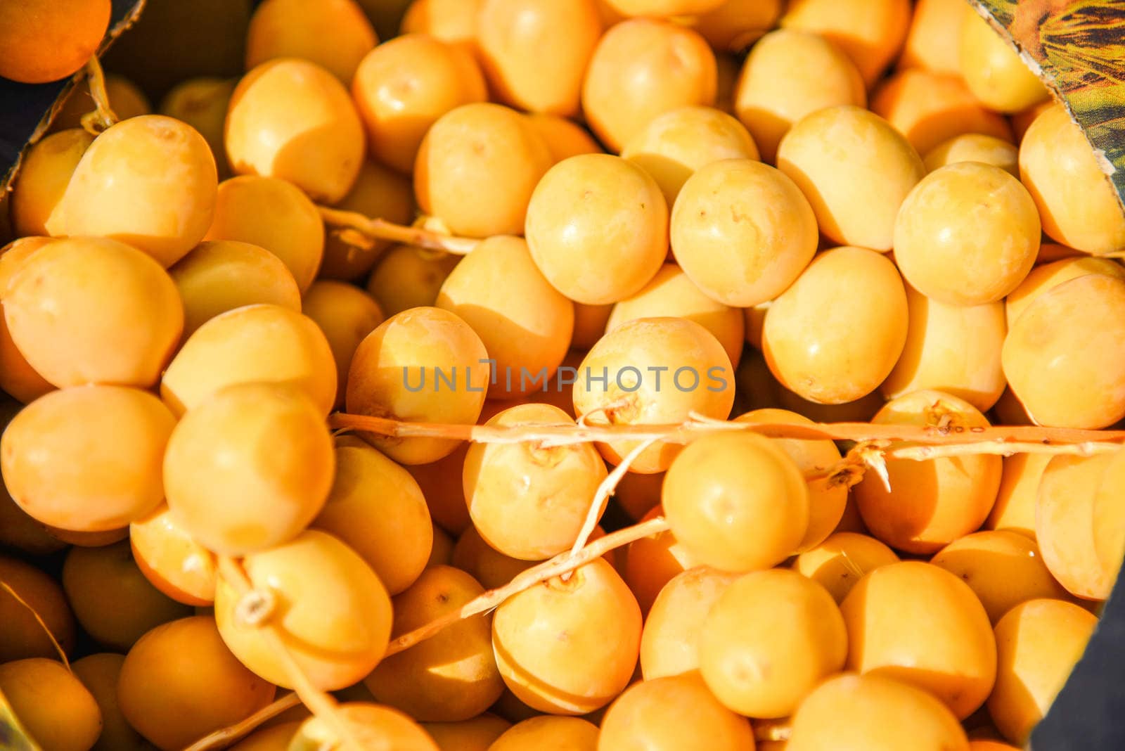 a lot of yellow plums