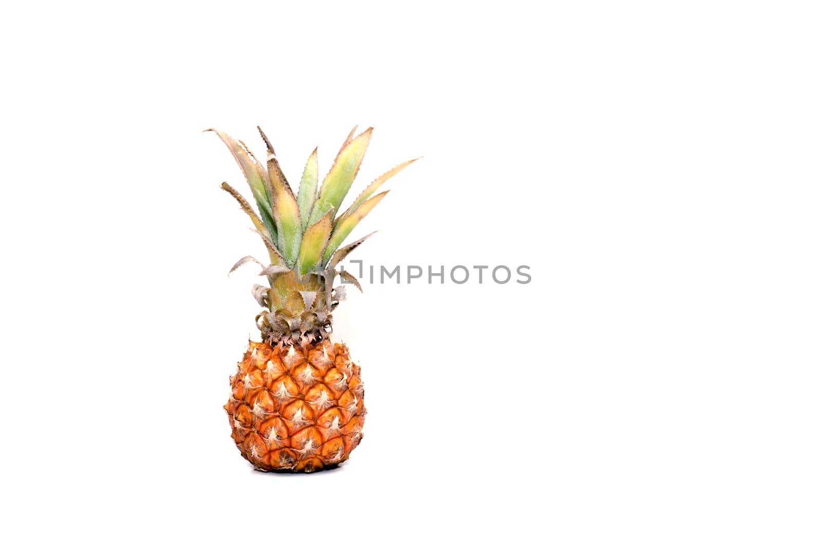 the fresh pineapple on the white background