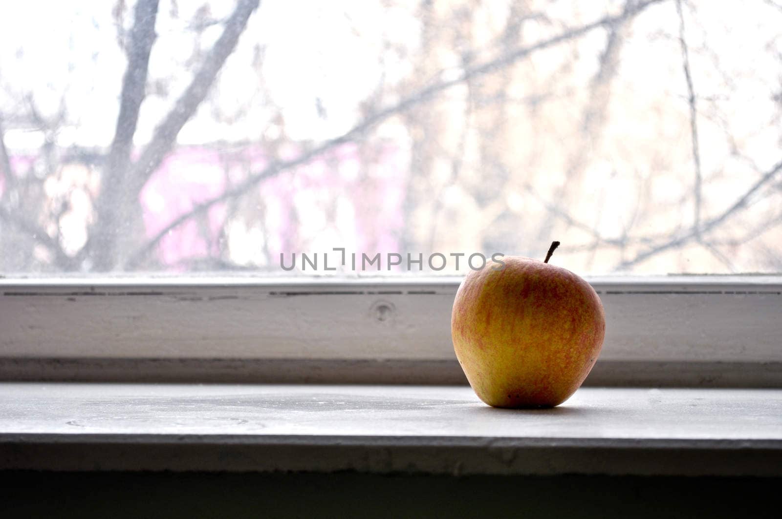 Red apple on a window sill by vlaru