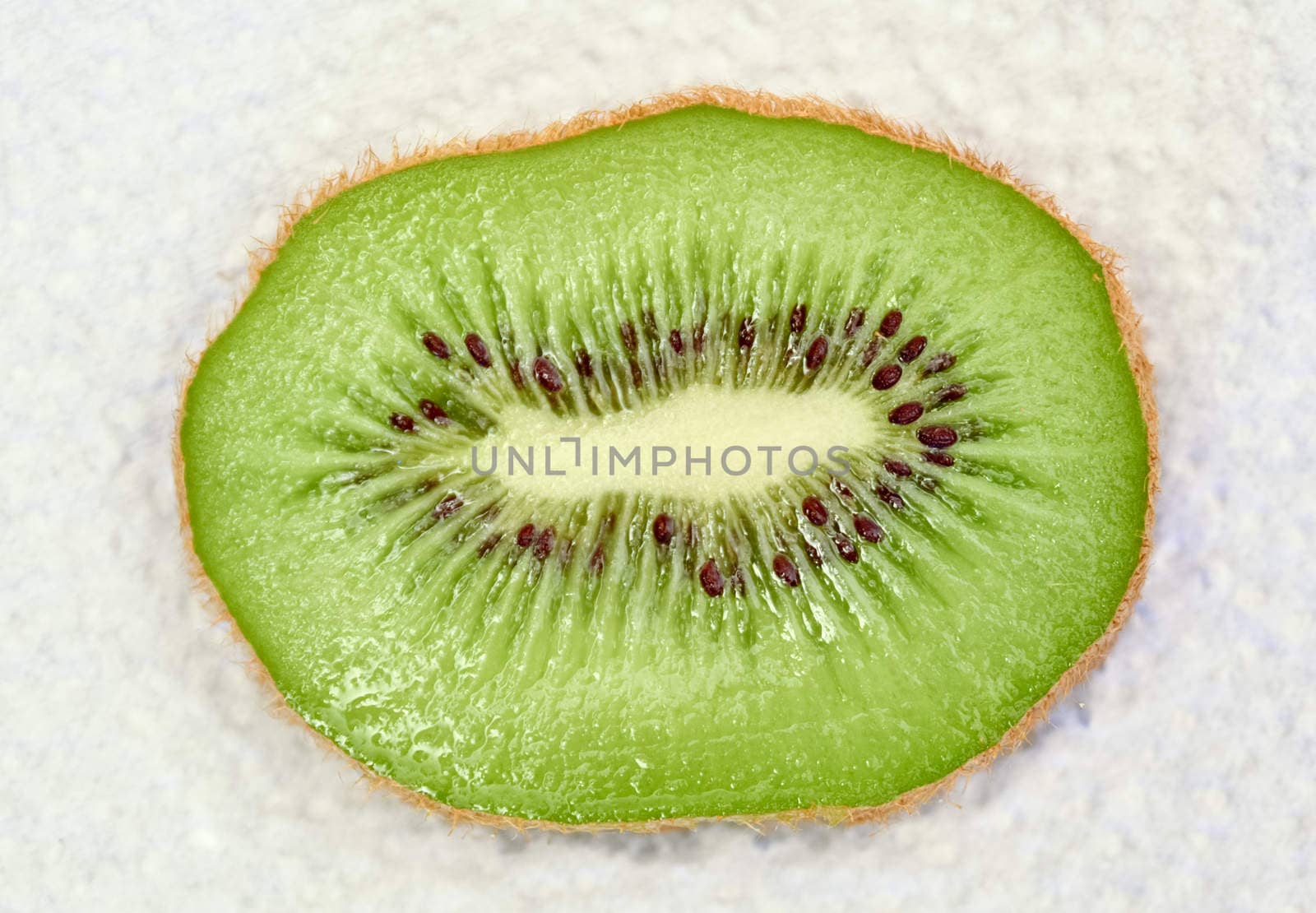 slice kiwi fruit close up on white background