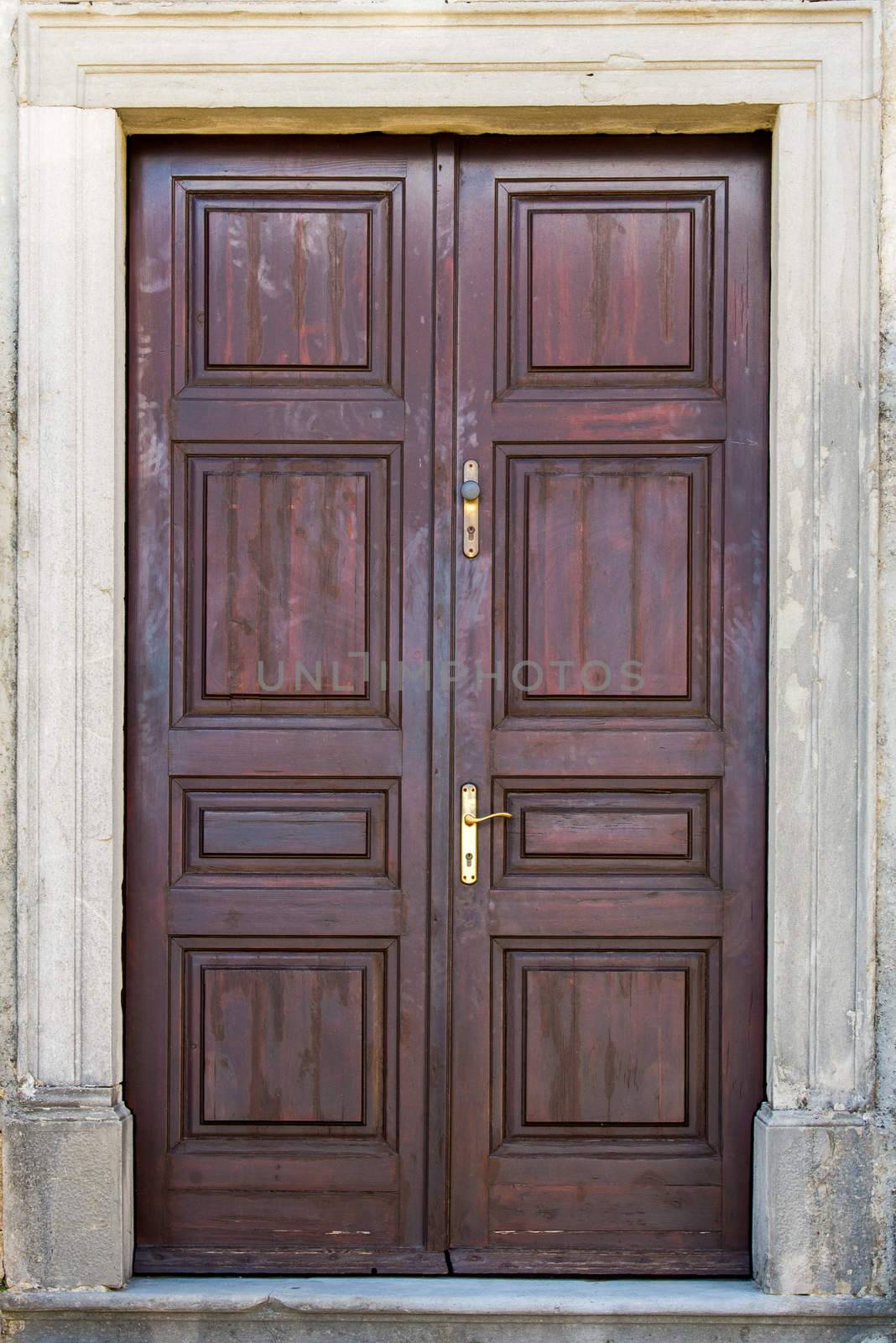 double-wing front door brown by vlaru