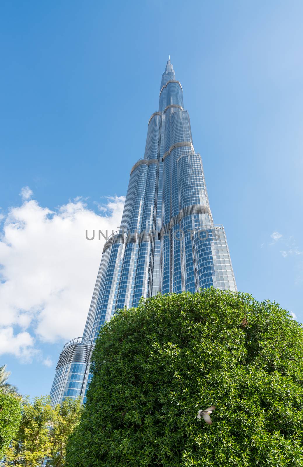DUBAI, UAE - NOVEMBER 22, 2015: Burj Khalifa, the highest building in the world, 829.8 m tall. It is the new symbol of the city.