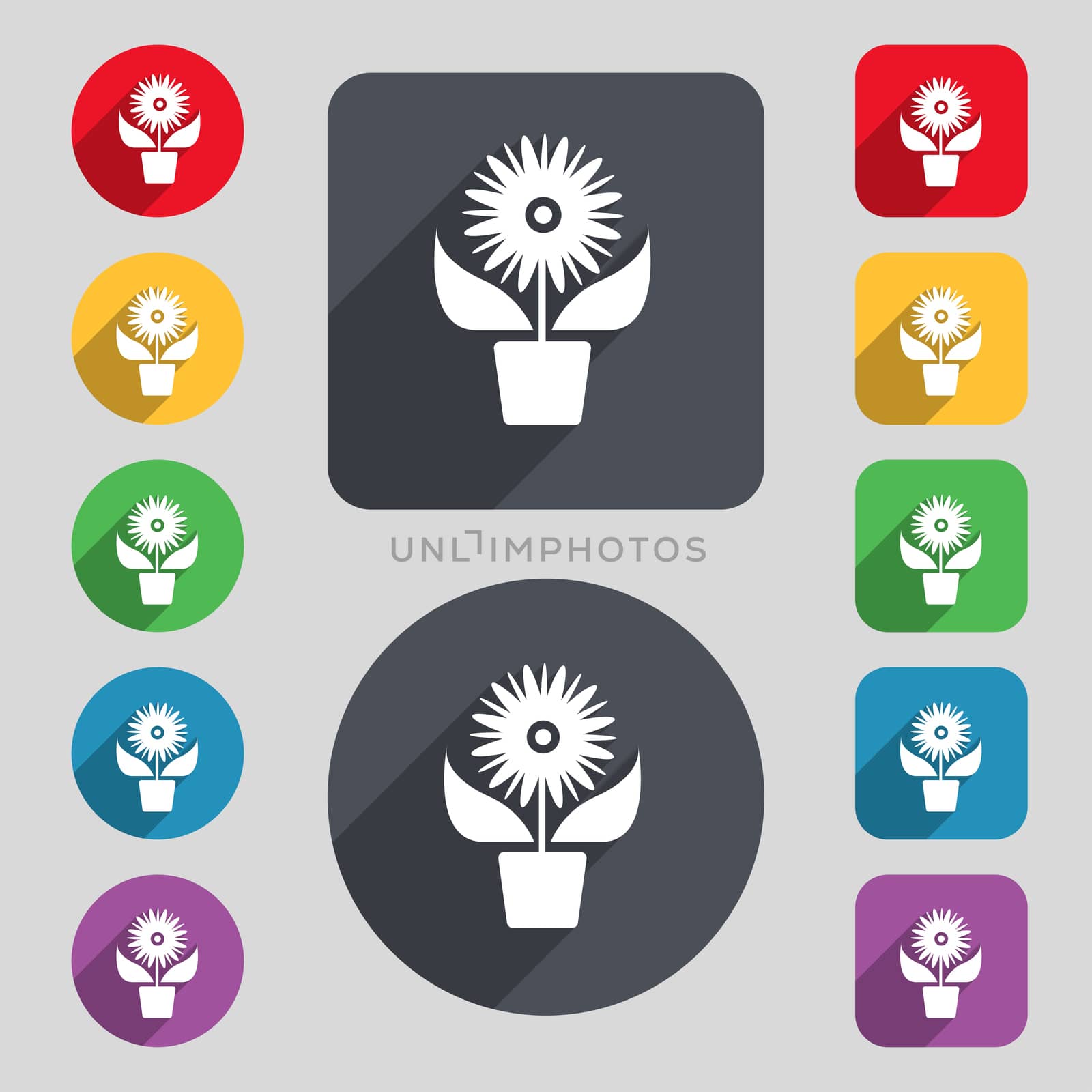 Flowers in pot icon sign. A set of 12 colored buttons and a long shadow by serhii_lohvyniuk